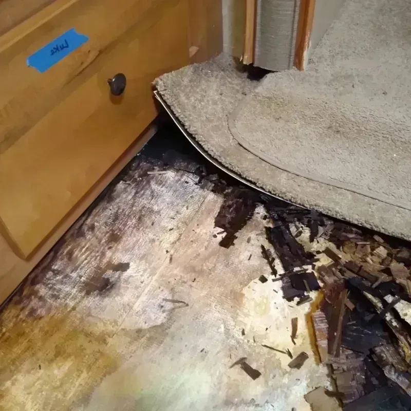 Best Wood Floor Water Damage Service in Lexington, IL